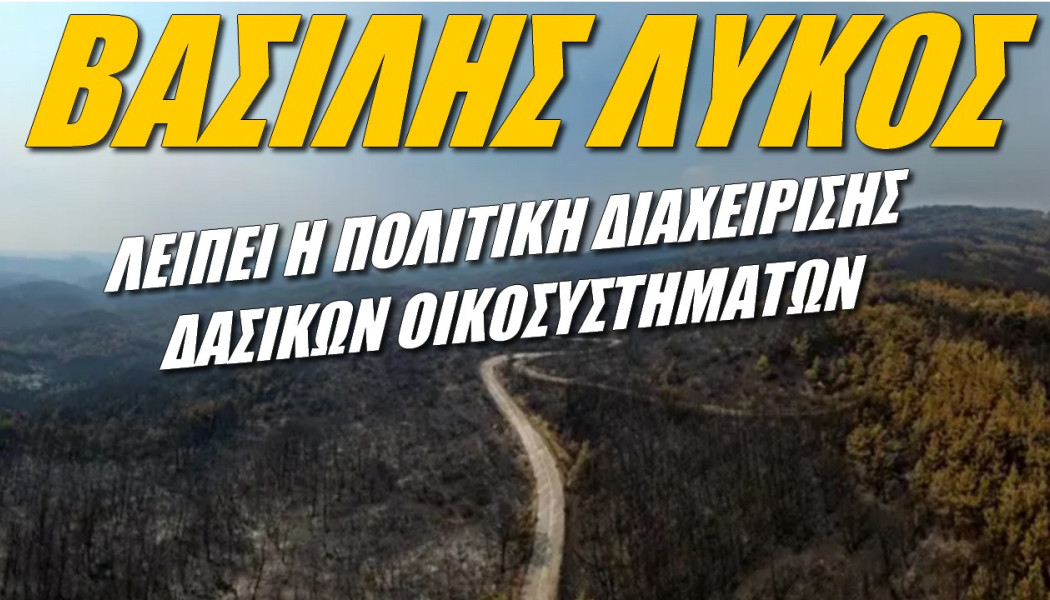 Έλληνας ειδικός για τις πυρκαγιές! Χρειαζόμαστε επιχειρησιακά σχέδια δράσης μέσα στο δάσος
