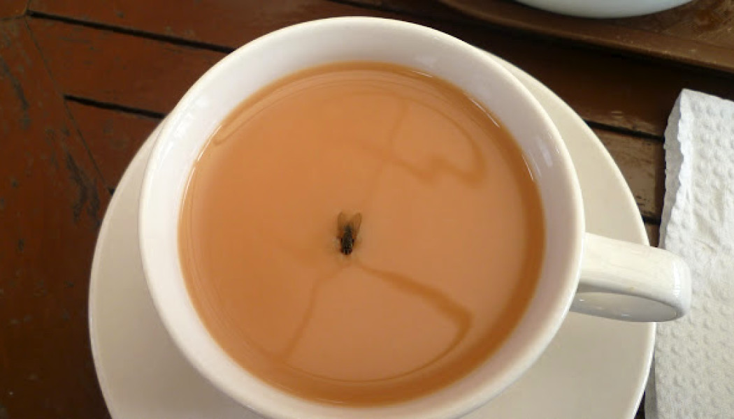 Το τσάι με τη μύγα: Αν λύσεις τον γρίφο που έχει τρελάνει το ίντερνετ, τότε ανήκεις στo 12% των Ελλήνων