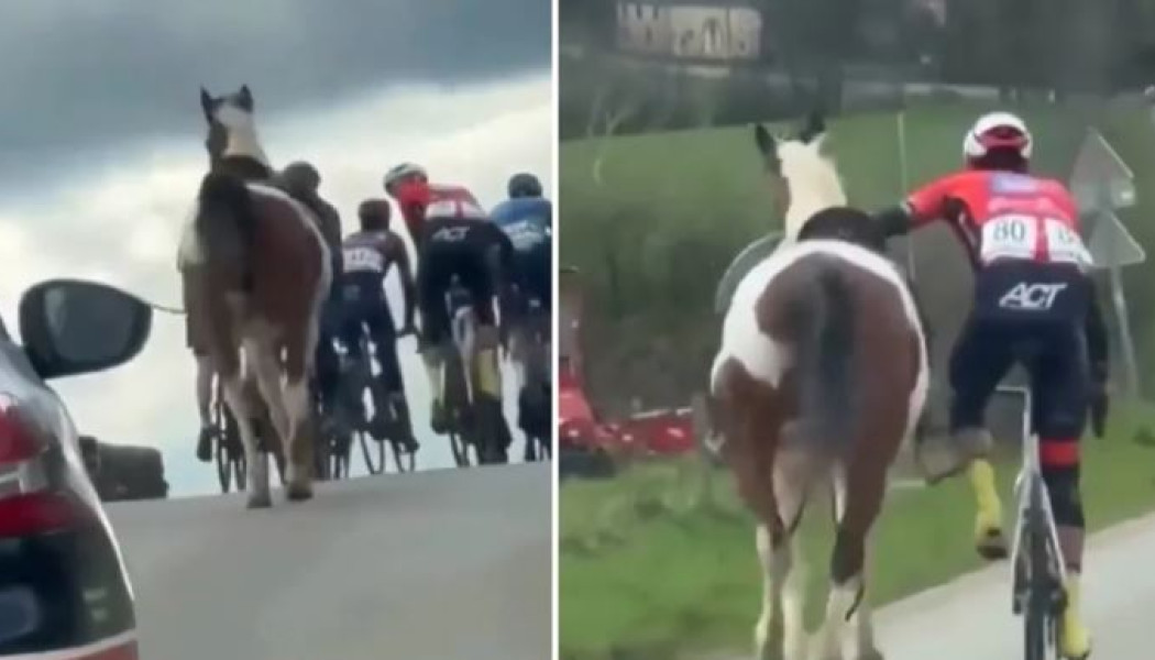 Απίστευτη χειρονομία: Ποδηλάτης βγήκε από τον αγώνα για να δαμάσει ένα άλογο (ΒΙΝΤΕΟ)