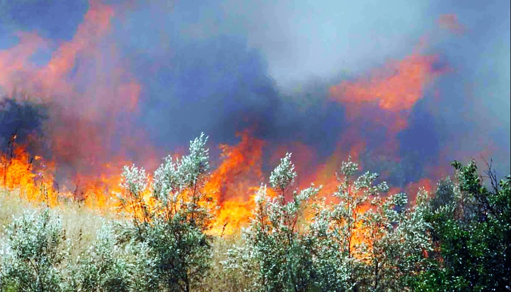 Συναγερμός - Μεγάλη φωτιά στην Πάρνηθα (ΒΙΝΤΕΟ)