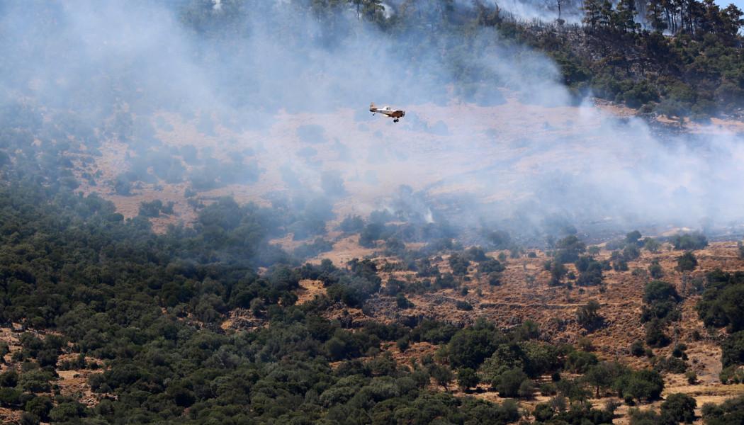 ΒΙΝΤΕΟ ντοκουμέντο από τη στιγμή που ξεσπά η φωτιά στον Μαραθώνα