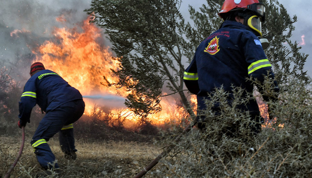 Καίγεται το Φαλακρό Όρος! Σε εξέλιξη πυρκαγιά