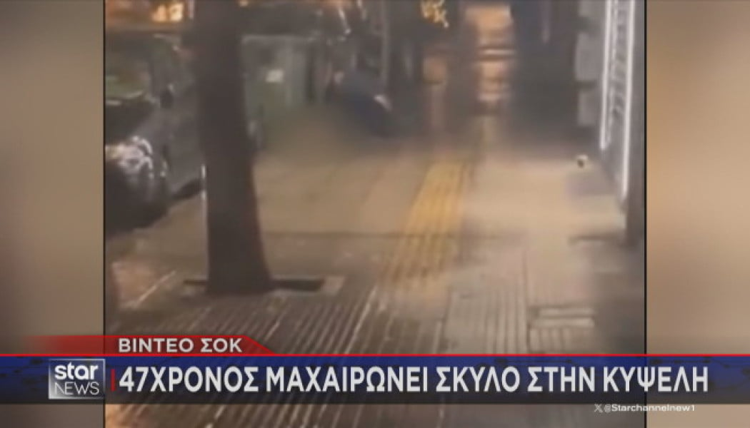 Βίντεο - σοκ: 47χρονος μαχαιρώνει σκύλο στην Κυψέλη! 