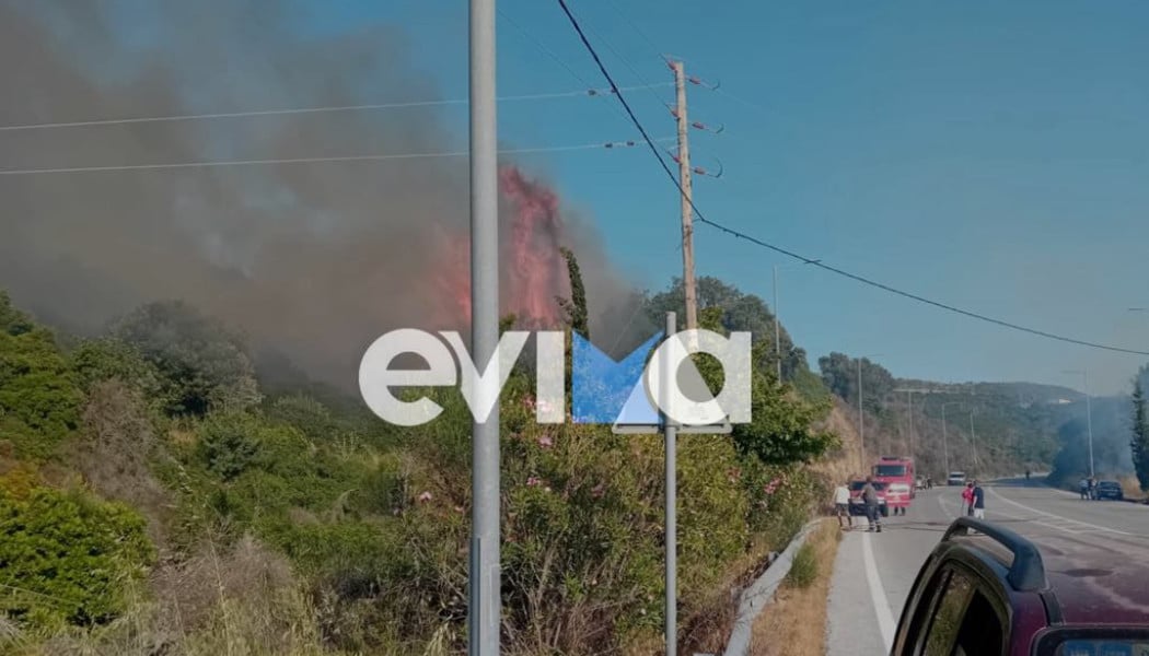 Συναγερμός: Μεγάλη πυρκαγιά στον Αλμυροπόταμο Εύβοιας (ΒΙΝΤΕΟ - ΦΩΤΟ)