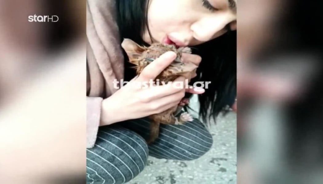 Νοσηλεύτρια επανέφερε στη ζωή γατάκι που έπεσε σε φρεάτιο - Υπέροχο βίντεο