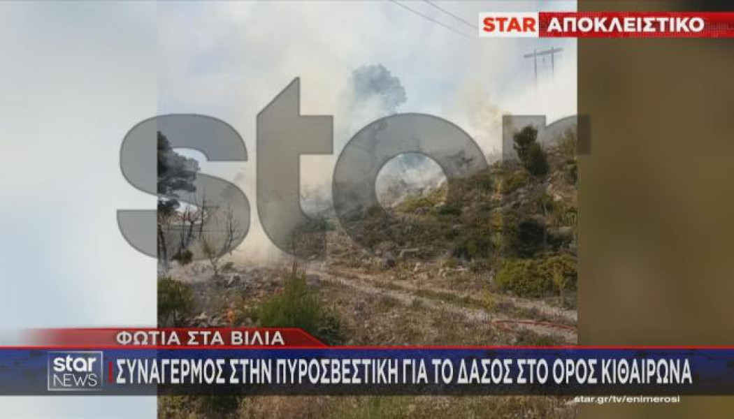 Αυτοψία στα Βίλια - Έτσι ξέσπασε η φωτιά (ΒΙΝΤΕΟ)