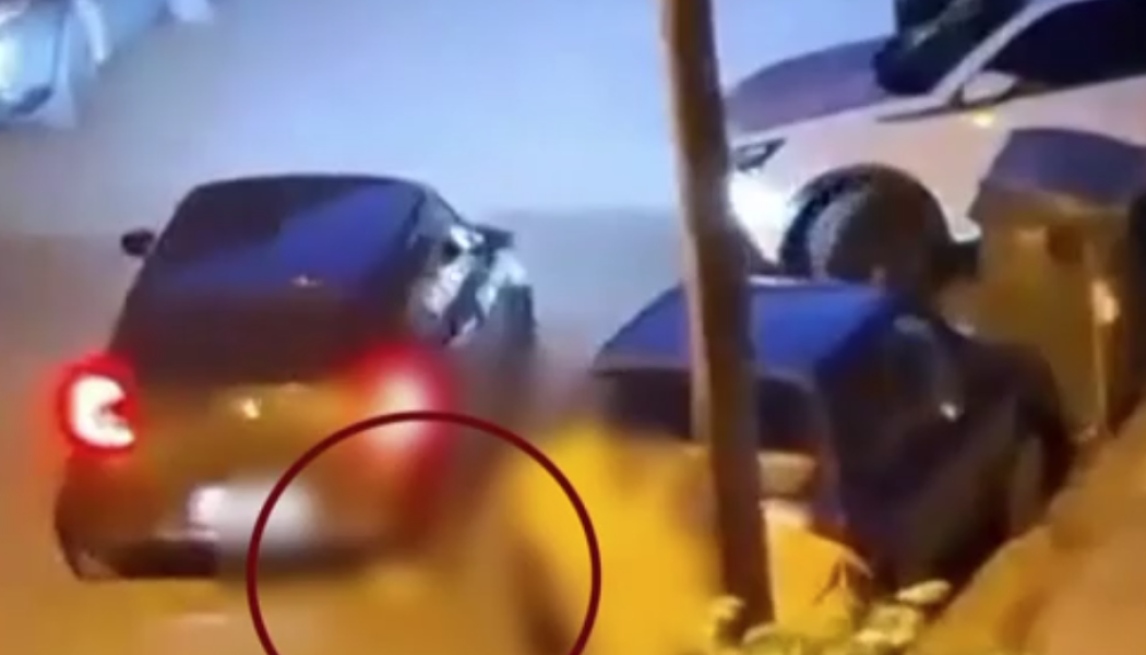 Φρίκη στην Καλαμαριά: Έσπρωξε και μετά πάτησε γατί με το αυτοκίνητο (Vid)