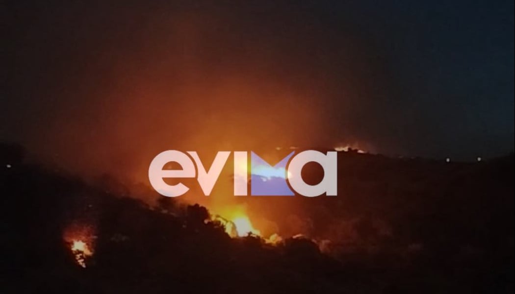 Δύσκολη νύχτα στην Εύβοια - Η φωτιά απειλεί δεκάδες σπίτια (ΦΩΤΟ - ΒΙΝΤΕΟ)