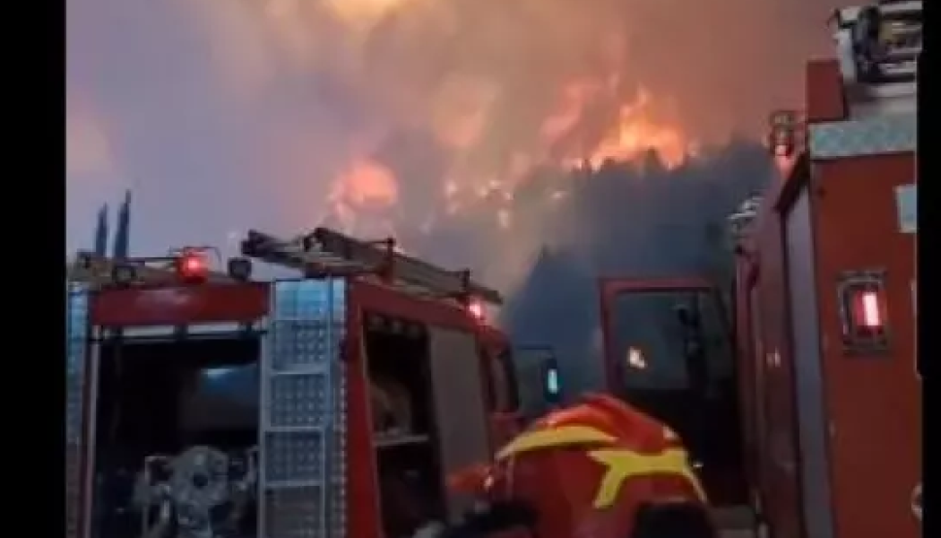 Φωτιά στον Φενεό Κορινθίας: Δύο προσαγωγές υπόπτων (ΒΙΝΤΕΟ)