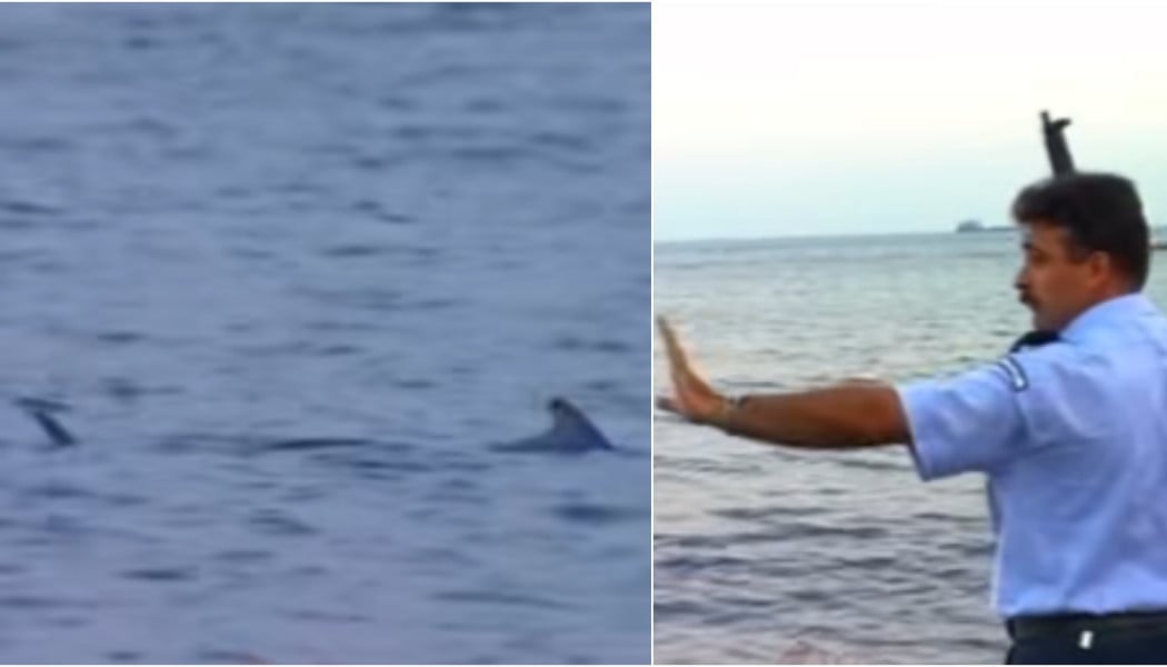 Viral 28 χρόνια μετά: Αστυνομικοί πυροβολούν καρχαρίες με καλάσνικοφ (VID)