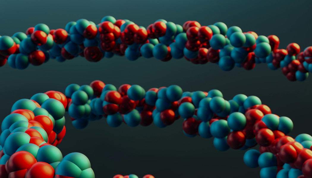 Τι σημαίνουν τα αρχικά DNA και ποια είναι η λέξη στα ελληνικά