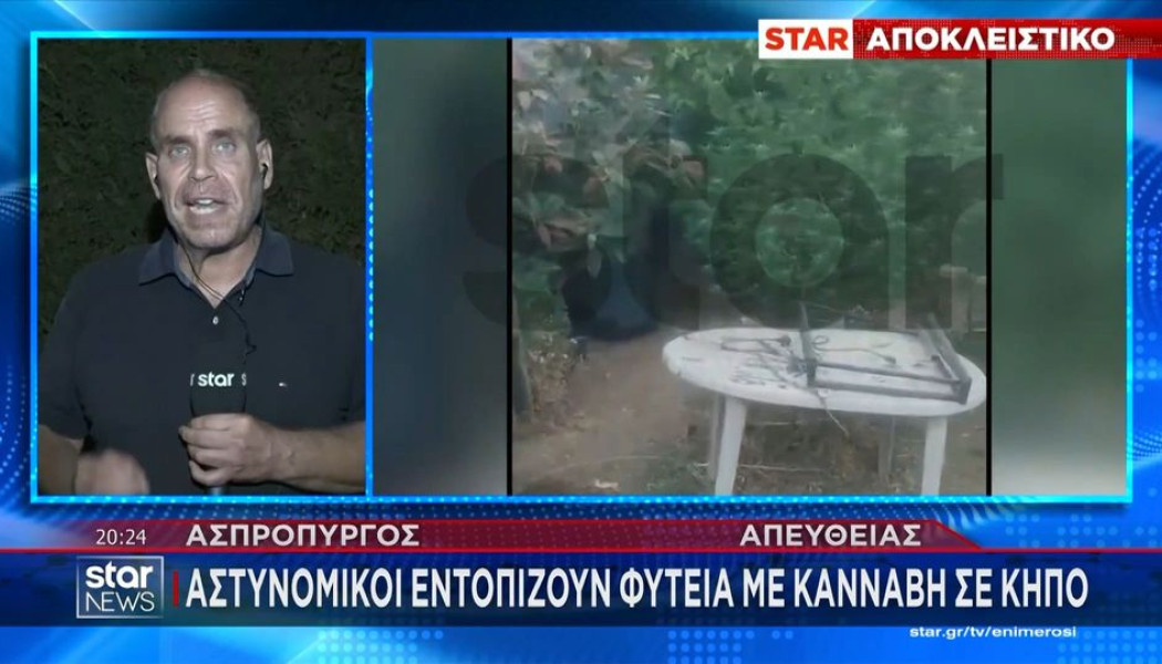 Τώρα κλαίνε όλα τα αλάνια! Μεγάλη φυτεία εξαρθρώθηκε στον Ασπρόπυργο