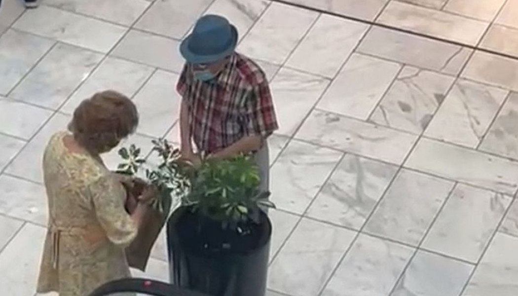 Γιατί γιαγιά και παππούς από την πλευρά του πατέρα δεν είναι τόσο "καλοί";