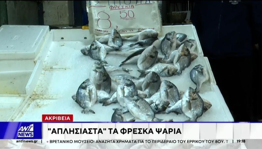 Η "χρυσή" θάλασσα - Tα φρέσκα ψάρια γίνονται πολυτελείας!