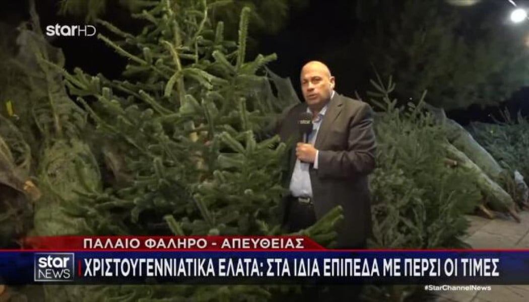 Τελευταία ευκαιρία για Χριστουγεννιάτικα έλατα: Ποιες είναι οι τιμές φέτος;