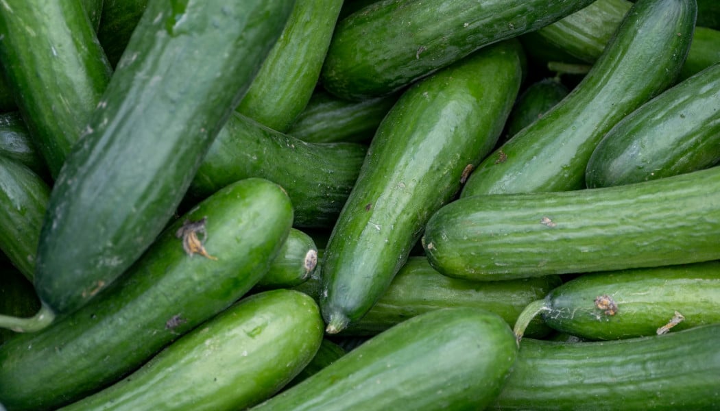  Μην πετάς τις φλούδες από το αγγούρι - Το μυστικό που δεν ήξερες