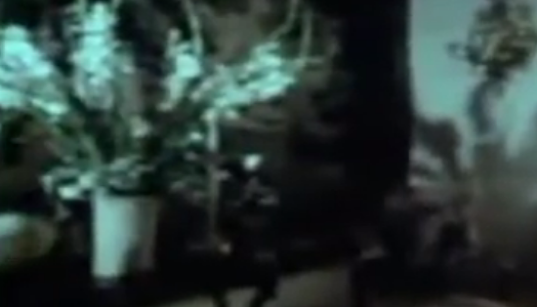 Σε ποιον άνηκε η μυθική βίλα της Αθήνας με τα 10.000 περίεργα εκθέματα;