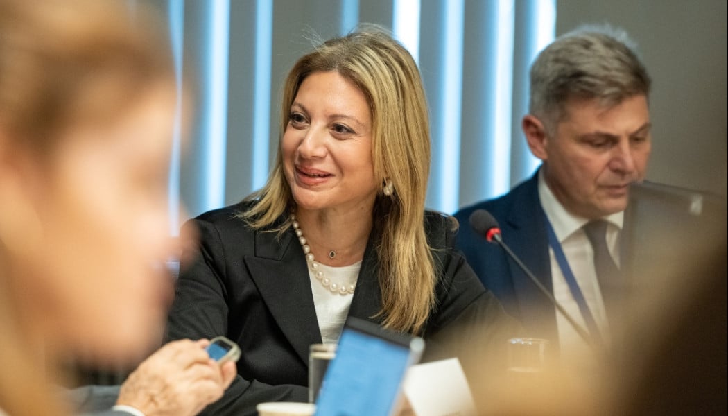 "Η Κομισιόν ήξερε...": Επίθεση Καρυστιανού που θα συζητηθεί!