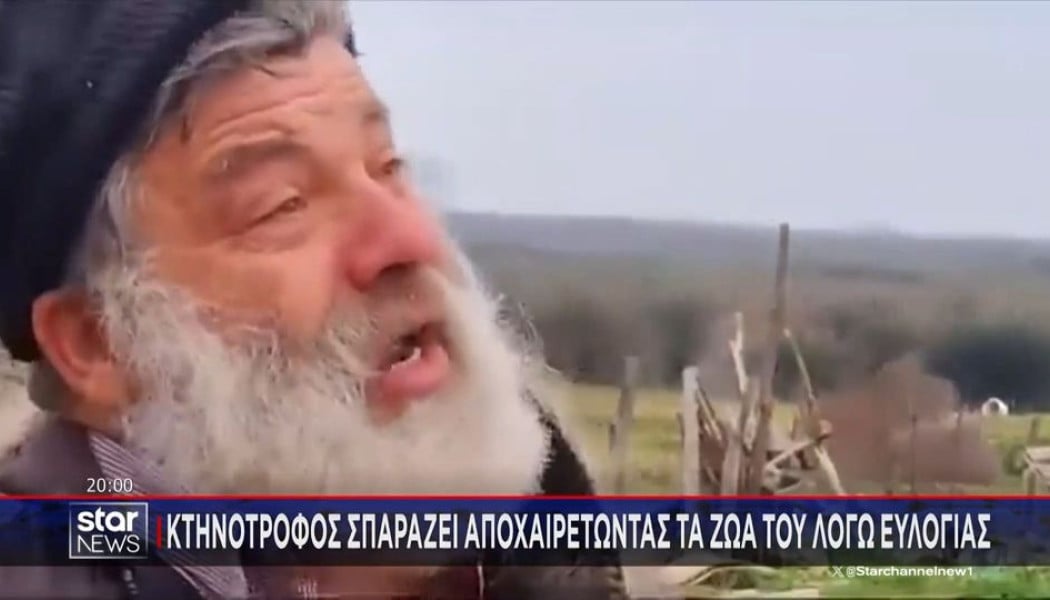 Κατέρρευσε ο κτηνοτρόφος που αποχαιρέτησε με δάκρυα τα 450 πρόβατά του