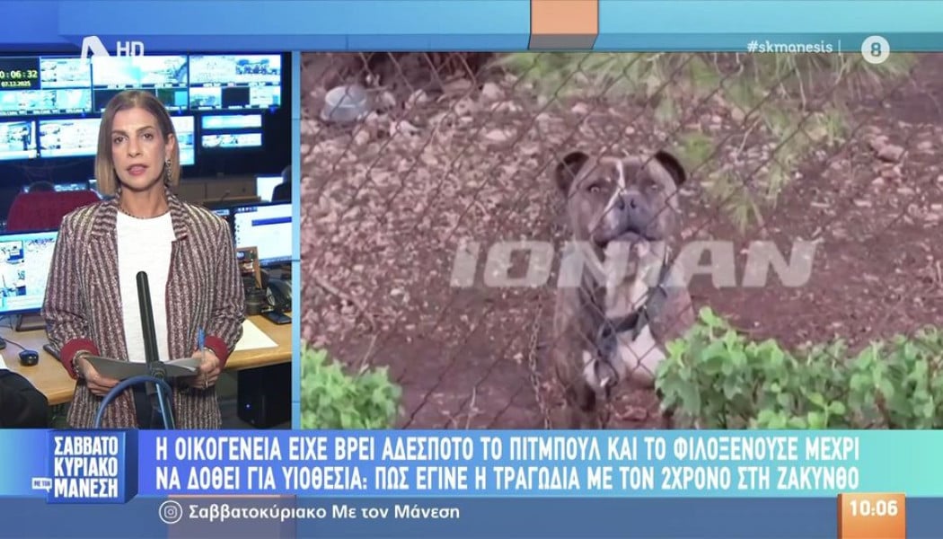 Πώς έγινε η τραγωδία με τον 2χρονο και το πίτμπουλ - Τραγική ειρωνεία