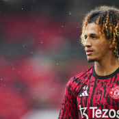 Χάνιμπαλ Μεϊμπρί