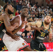 Τέρι Ταρπέι