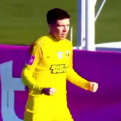 Ολεξάντρ Πικαλιόνοκ