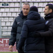 Ραζβάν Λουτσέσκου