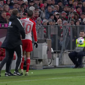 Νέναντ Μπιέλιτσα