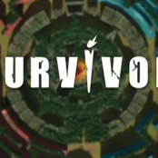 Ντάρια Τουρόβνικ