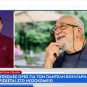 Παντελής Βούλγαρης