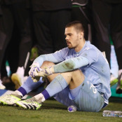 Ντομινίκ Κοτάρσκι