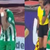 νδεπενδιέντε Μεδεγίν