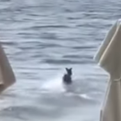 Μενίδι Αιτωλοκαρνανίας