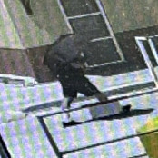 Εξαφάνιση Μόσλεϊ