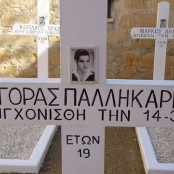 Ευαγόρα Παλληκαρίδης