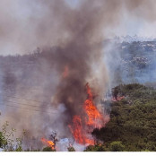 Σοφικό Κορινθίας