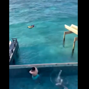 Σέρχιο Αρίμπας