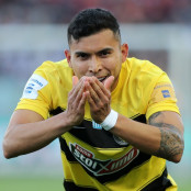 Ουρμπελίν Πινέδα