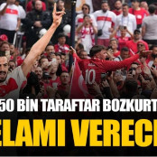 Γκρίζοι Λύκοι