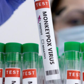 Νίκος Χατζόβουλος