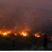 Θεόδωρος Γιάνναρος