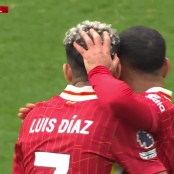 Highlights