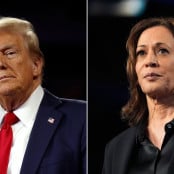 Καμάλ Χάρις