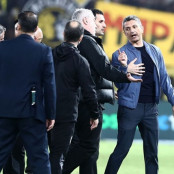 Ραζβάν Λουτσέσκου