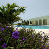 Ντόλαντ Τραμπ