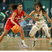 Θάνος Νίκλας