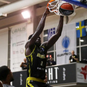 Νόρκεπινγκ Ντόλφινς