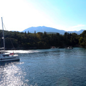 Ντμίτρι Ριμπολόβλεφ