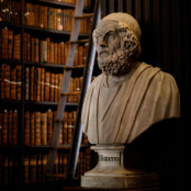 Πολιτισμός